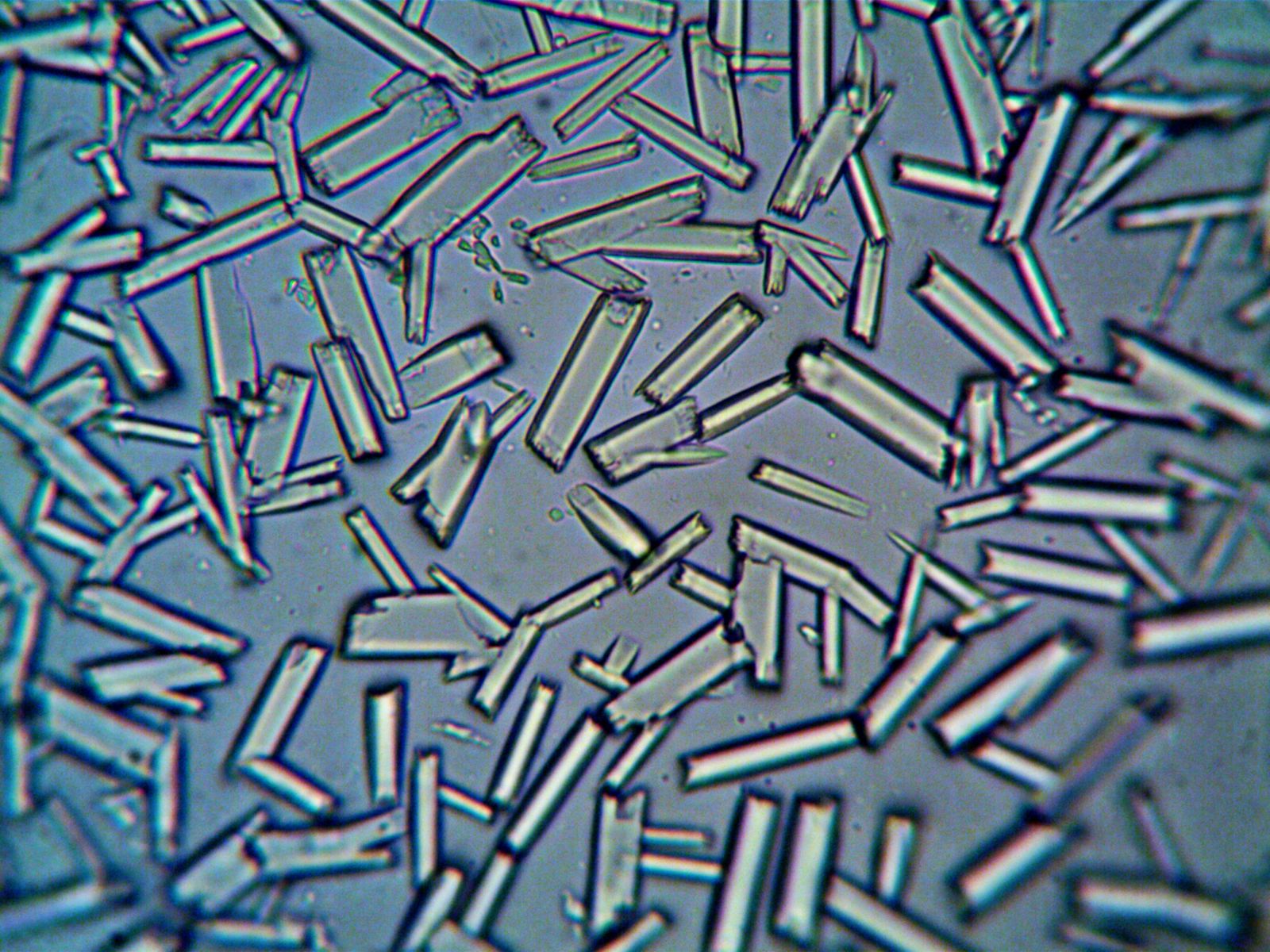 Needle-shaped crystals photographed through a microscope against a pale field