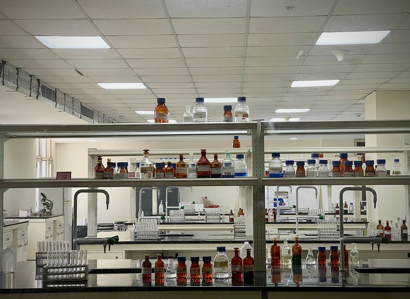Laboratory reagent shelves holding labelled bottles above a working bench